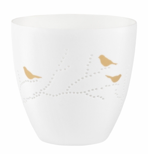 POETRY LIGHT BIRDS 