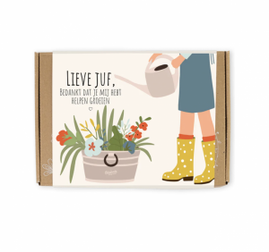 SMALL GIFT BOX "LIEVE JUF" MET 7 BLOEMBOMMETJES 