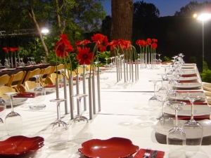 MAGNETIC VASES - SET VAN 5 SILVER