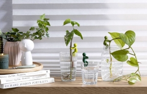 LEAFRIEND - PLANT PROPAGATION BUDDY 