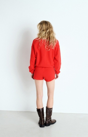 IZUBIRD FRAISE VIN