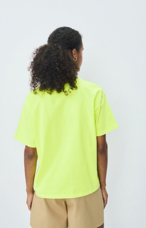 FIZVALLEY MIMOSA FLUO