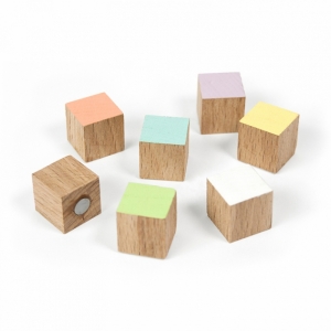 MAGNETEN - HOUTEN GEKLEURDE BLOKJES - SET VAN 7