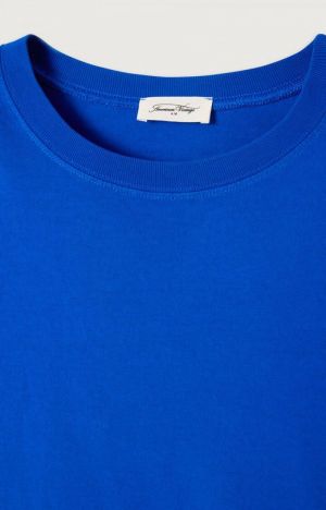 FIZVALLEY BLUEU ROI
