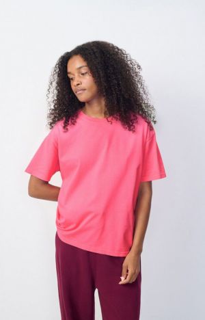 FIZVALLEY ROSE FLUO